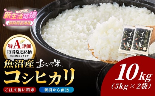 【コシヒカリ】令和7年産 新潟県 魚沼産コシヒカリ 計10kg (5kg2袋) 10キロ 10キログラム JA魚沼 | 新潟産コシヒカリ 特A評価 魚沼産 新潟県産コシヒカリ 新潟県産こしひかり 魚沼コシヒカリ お米 米 こしひかり 白米 精米 ブランド米 特A評価地区【0002-JA13】