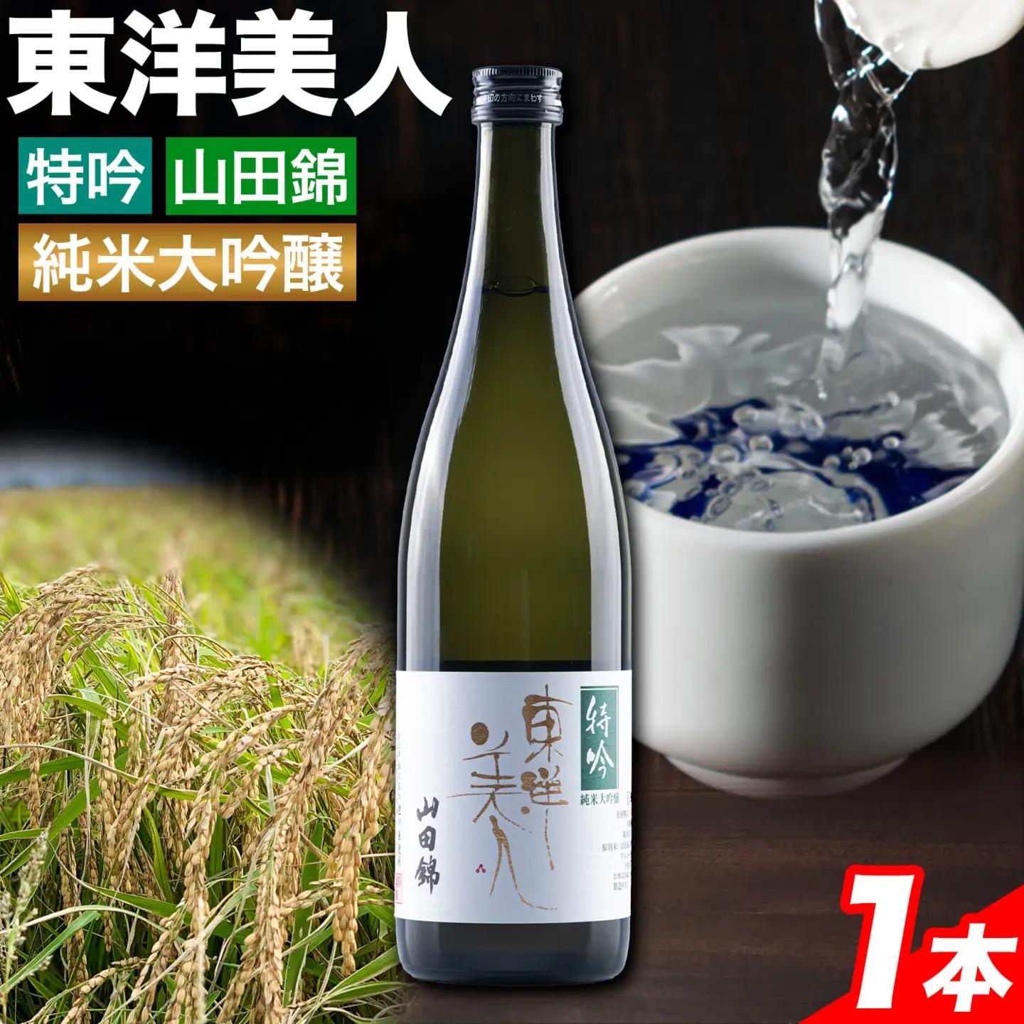日本酒 東洋美人 特吟 山田錦 純米大吟醸 720ml 1本 福岡吟醸倶楽部株式会社《30日以内に出荷予定(土日祝除く)》