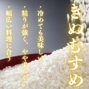 D395 農家直送！山口市産新米「きぬむすめ」精米5kg