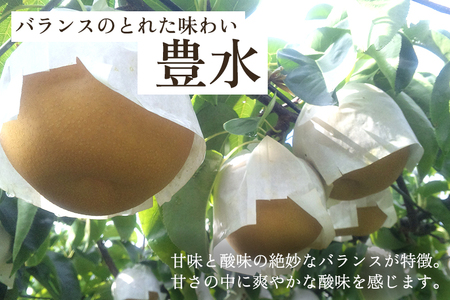 和梨 豊水 3kg（6～8玉）果物 なし ほうすい 梨 フルーツ 新鮮 ジューシー 産地 加茂市 樋口農園