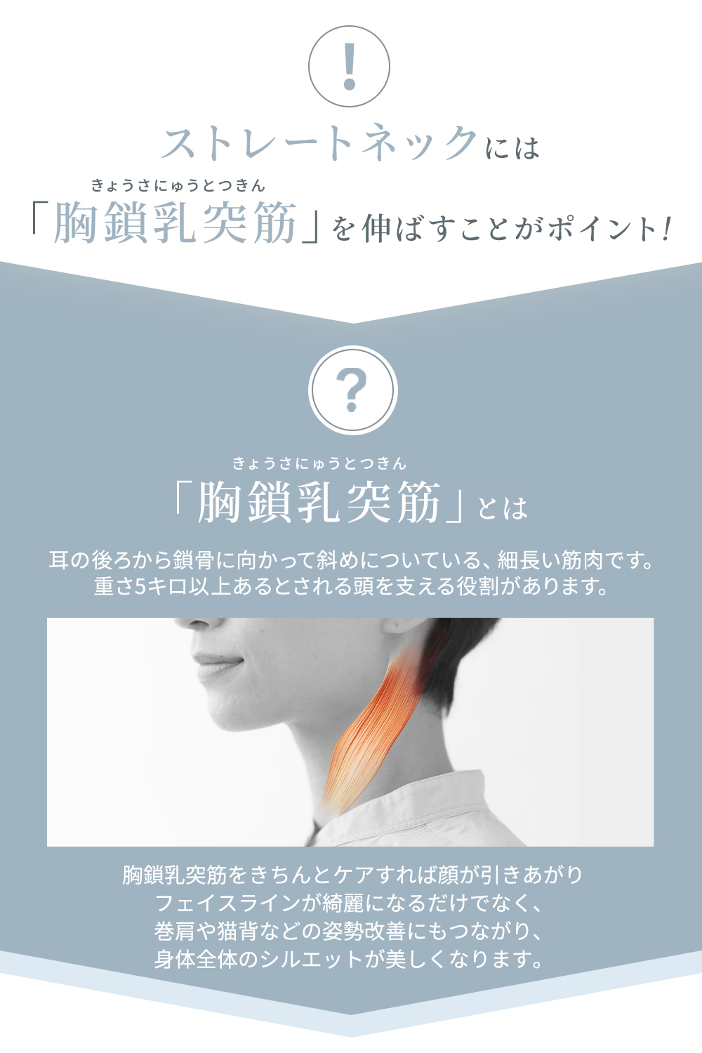 MyComfort ネックピロー 1個 〜ストレッチモデル〜 ラベンダー