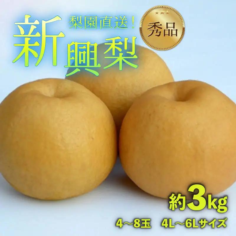 【先行予約】上野梨園の新興梨 約3kg  4L～6L【秀品】《数量限定》梨園直送！  / 期間限定 果物 フルーツ 農家直送 シャキシャキ もぎたて 旬 お取り寄せ ※2026年10月上旬より順次発送