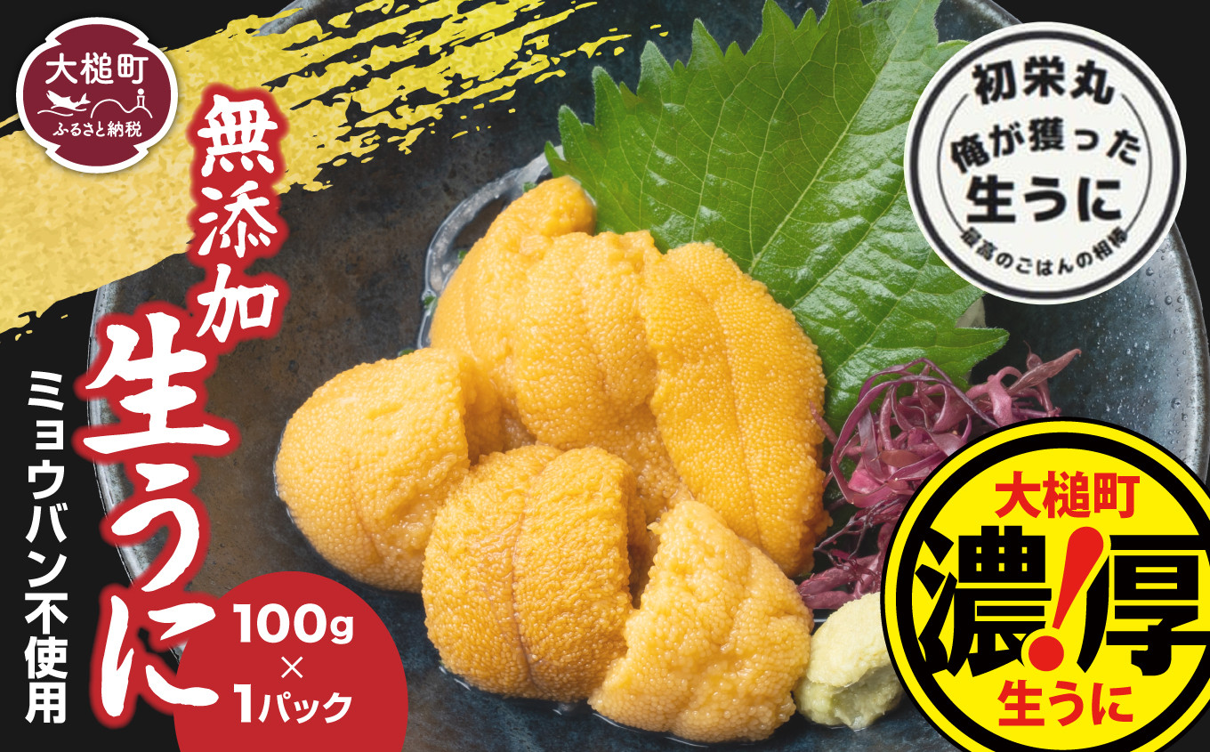 
            三陸産生うに100g×1パック【令和7年6月発送】【配送日指定不可】［35］
          