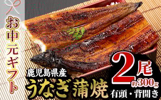 【令和7年お中元対応】厳選！国産 鹿児島県産 うなぎ蒲焼 2尾 約300g！ 鰻養殖生産量日本一 鹿児島県産新仔うなぎ使用 こだわりの地焼き！ 冷凍うなぎ 秘伝のタレ 付き うな重 うな丼 きざみ鰻 うなぎのせいろ蒸し弁当にもオススメ！ 贈答 ギフト にも！【南竹鰻加工】【TA-300H】