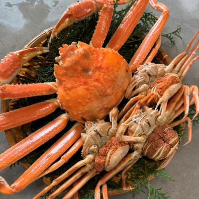 ふるさと納税 岩美町 鳥取網代港【訳あり】浜茹で!松葉ガニ・セコガニ1kgセット【さかなや新鮮組】 |  | 01