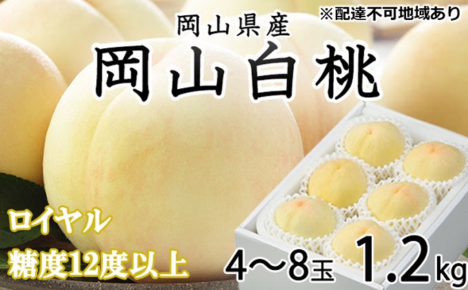 桃 2024年 先行予約 岡山 白桃 ロイヤル 4～8玉 約1.2kg JA おかやま のもも（早生種・中生種） もも モモ 岡山県産 国産 フルーツ 果物 ギフト