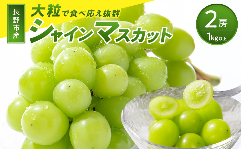 【大粒2房】長野市産シャインマスカット約1kg 以上【2026年9月中旬以降出荷分】(さらしな青果) |  ぶどう シャインマスカット 大粒 ダントツ人気 人気 おすすめ 葡萄 ブドウ フルーツ 果物