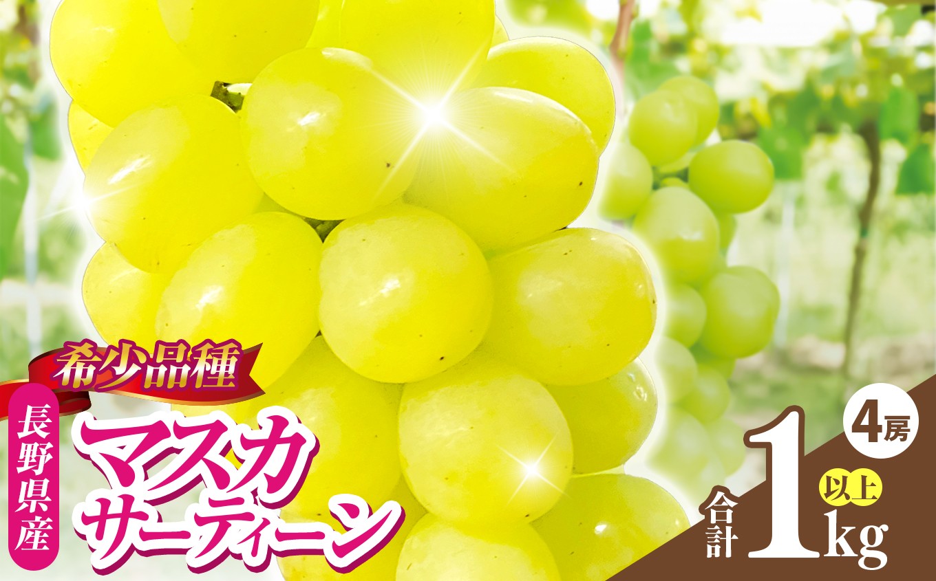 
                  ぶどう 信州伊那産ぶどう マスカサーティーン (1.0kg以上)  4房 白鳥フルーツファーム | ぶどう 葡萄 数量限定 希少品種 種なし 高級 フルーツ 旬 伊那市 長野県 【014-60】
                