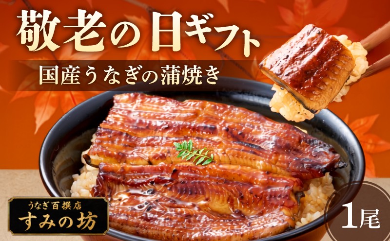 
                  【敬老の日までにお届け】《9月18日～9月21日着》 国産 うなぎ蒲焼き 1尾 敬老の日 うなぎ 《1尾につき160g～180g》 特上サイズ 職人 手焼き 炭火 個包装 真空パック 冷凍 鰻 特上 鰻の蒲焼き 大きい ウナギ 静岡うなぎ 三島うなぎ 三嶋うなぎ うな重 うな丼 鰻重 プレゼント 贈り物 ギフト 期間限定 すみの坊 静岡県 三島市
                