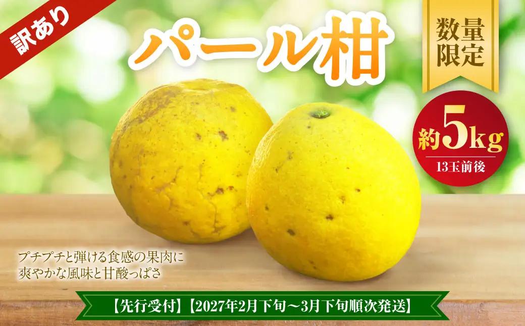 ＜ R8年熊本地震復興支援 ＞【先行受付】【数量限定】【訳あり】パール柑 約5kg 13玉前後 訳あり 訳アリ 柑橘 フルーツ 果物 果実 くだもの 九州産 熊本県 上天草市【2027年2月下旬～3月下旬順次発送】