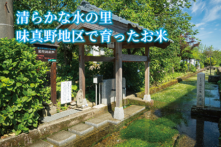 〈新米〉減農薬米 こしひかり 6kg ／令和5年福井県産 （白米）