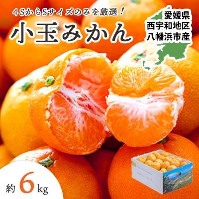 ふるさと納税 八幡浜市 【発送月固定定期便】愛媛みかん小玉6kg(訳)×甘平3kg(訳)【G25-261】全2回 |  | 01