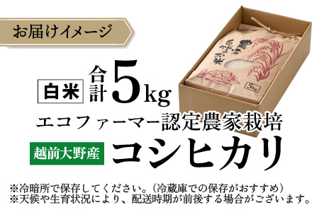 【先行予約】【令和8年産 新米】【有機栽培】エコファーマー認定農家栽培 コシヒカリ5kg（白米）【2026年10月より順次発送】 [A-001086]