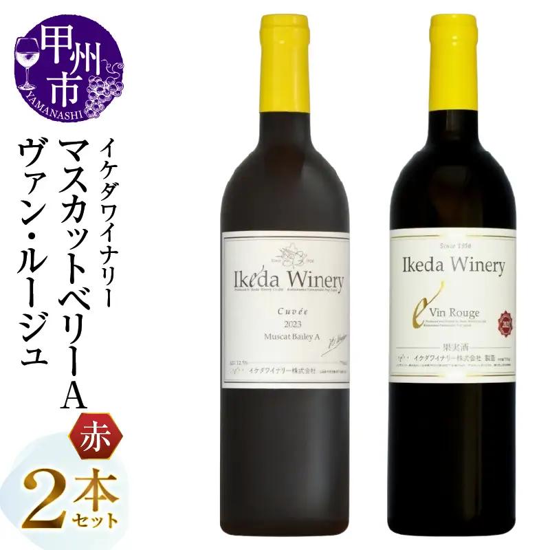 ワイン イケダワイナリー 2本セット【マスカットベリーA / ヴァン・ルージュ】（MG）B12-676