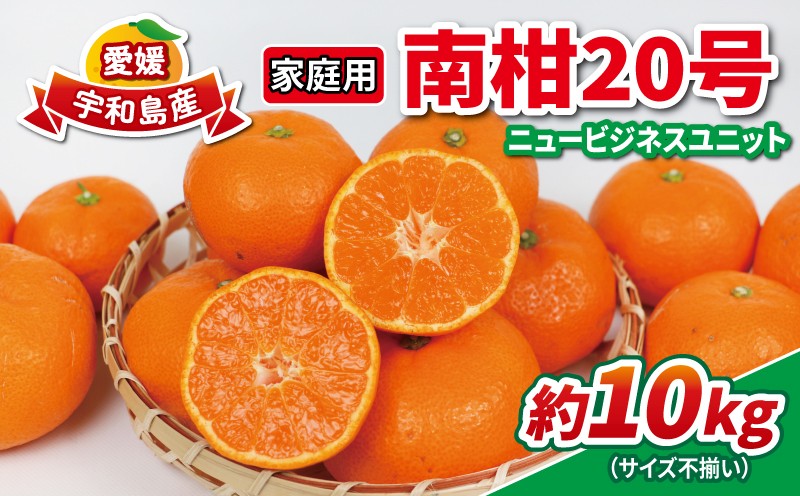 
                  みかん 10kg 南柑20号 家庭用 S~L サイズ ミックス 玉津みかん ニュービジネスユニット 先行予約 温州 温州みかん 果物 くだもの フルーツ 柑橘 蜜柑 mikan 温州 愛媛蜜柑 愛媛みかん 農家直送 産地直送 数量限定 国産 愛媛 宇和島 B015-058002
                