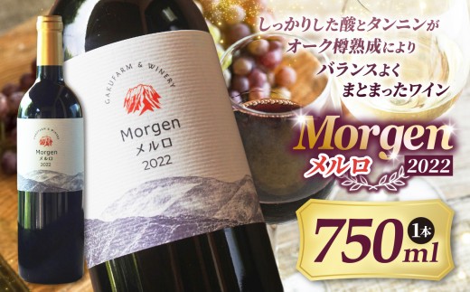 
                  Morgenメルロ2022｜ワイン 信州 赤ワイン アルコール ポリフェノール メルロ ぶどう 希少価値 わいん 酒 おさけ さけ 長野県 松本市 
                
