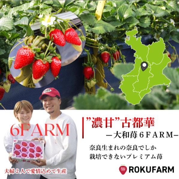 いちご 古都華 約500g 250g×2パック 冷蔵 いちご ことか 2027年発送 苺 フルーツ 果物 イチゴ 贈答 ギフト プレゼント 産地直送 奈良県 奈良市 6FARM