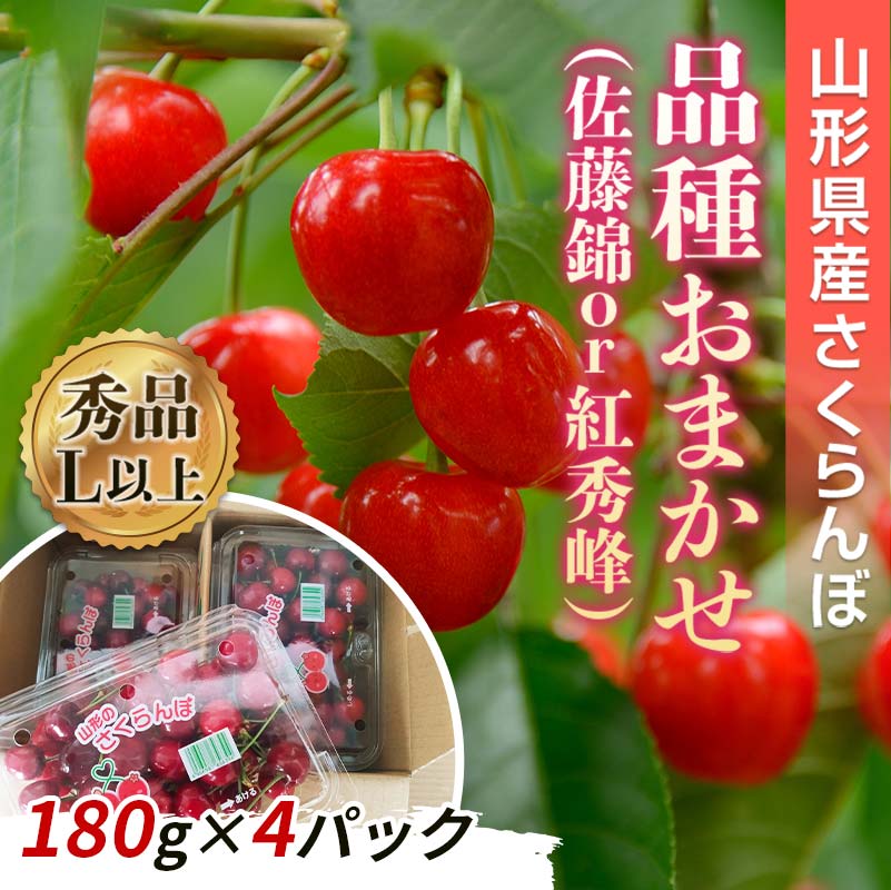 【ふるさと納税】 【令和8年産先行予約】 さくらんぼ 「佐藤錦または紅秀峰」 720g (180g×4パック 秀 L以上) 《令和8年6月上旬～発送》 『南陽中央青果市場』 小分け フードパック サクランボ 果物 フルーツ 山形県 南陽市 [1476]