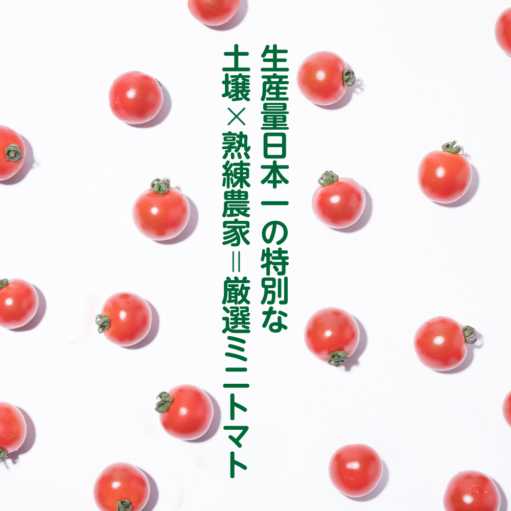 厳選ミニトマト 750g トマト 野菜 厳選 やさい サラダ 甘い_イメージ4