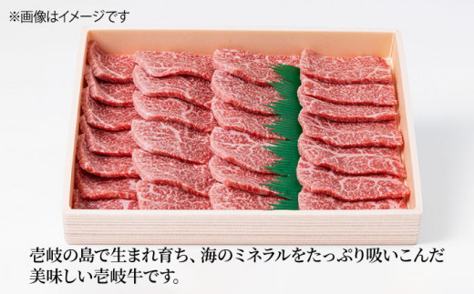 【全3回 定期便 】お肉 壱岐牛 焼き肉セット 500g 《 壱岐市 》 【ヤマグチ】[JCG054] 51000 51000円 