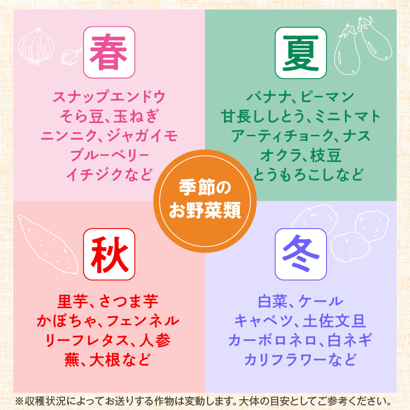 農業姉妹がこだわって栽培！白米5kgと旬の野菜詰め合わせ8種【024D-011】