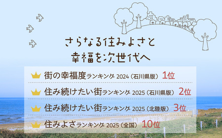 【返礼品なし】石川県 かほく市 応援寄附金 100,000円分 | 支援 純粋寄附