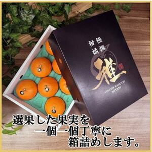 極撰柑橘【雅プレミアム】糖度保証・光センサー合格品「 せとか 」約2キロ【D39-62】【配送不可地域：離島】【1614238】