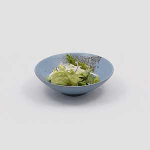 佳窯 碗 Φ18cm（水色） 常滑焼 陶器 食器 鉢碗 鉢椀 煮物やサラダ等に 皿 18cm 電子レンジ可 食洗機使用可 シンプル 贈り物 プレゼント 日本製 水色 青 キッチン キッチン用品 チャラ