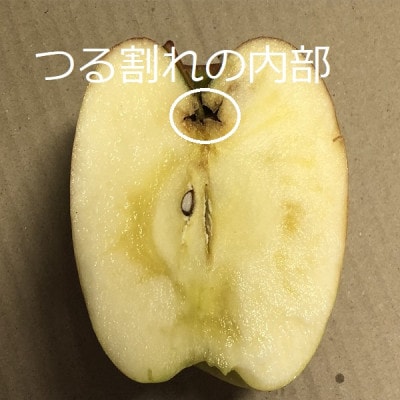 サンふじ＆ぐんま名月【家庭用】約5キロ　農家直送青森県産りんご