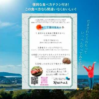 ～四国一小さなまち～ ★訳あり★ 高知県産カツオのわら焼きタタキ（自家製タレ付）1kg 6ヶ月定期便 1節約300g かつお 鰹 鰹のたたき 藁焼き 刺身 さしみ 惣菜 おかず 海鮮 魚介類_イメージ