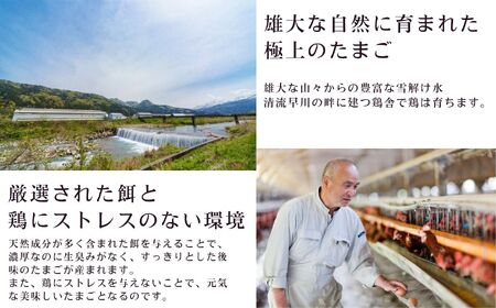 卵 朝採り 新鮮！ たっぷり40個(36個＋割れ補償4個) 濃厚で美味しい卵 わたなべさんちの元気たまご 20個×2パック  新潟 糸魚川 卵 たまご  