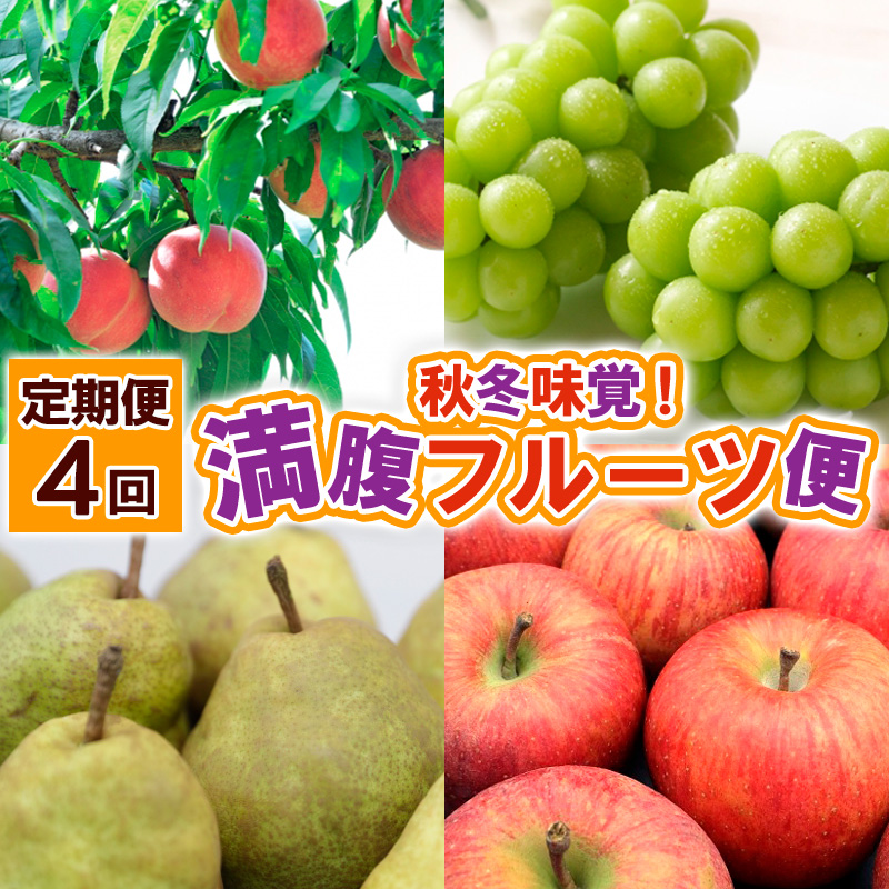 【定期便4回】秋冬味覚！満腹フルーツ便 FY25-020