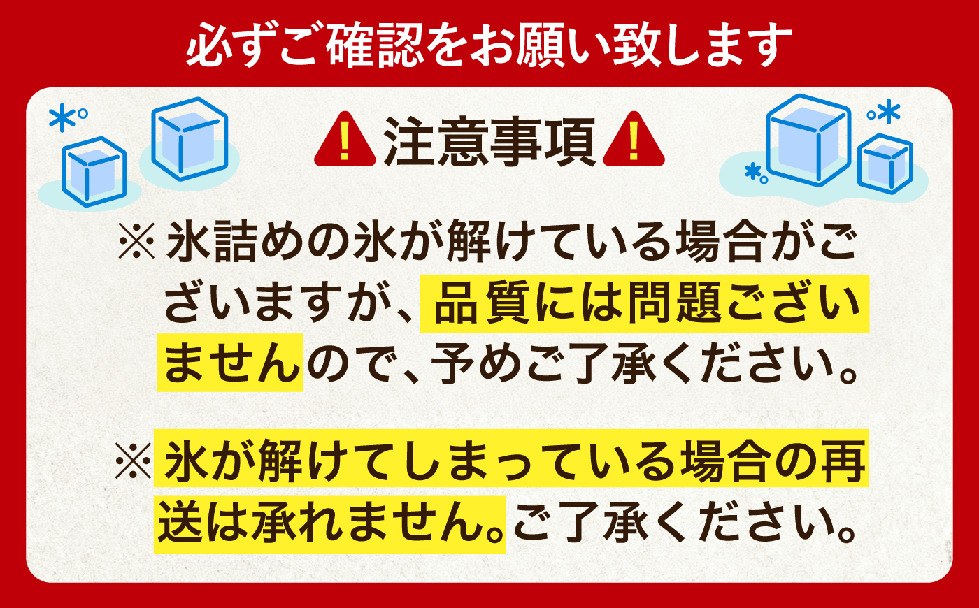 【2026年8月中旬以降順次発送】 氷詰めとうもろこし 恵味 10本 | とうもろこし 野菜 トウモロコシ コーン 北海道 季節の野菜 夏野菜 先行予約 | ベジタブルワークス株式会社 [BPAD004]