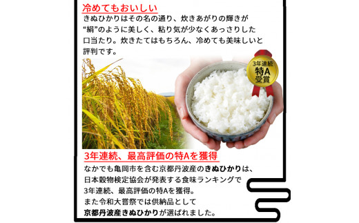 無洗米 10kg （2kg×5袋） 真空パック 京都丹波産 キヌヒカリ ※受注精米《米 白米 きぬひかり 10キロ 小分け ふるさと納税 無洗米 大嘗祭供納品種 亀岡そだち》※北海道・沖縄・その他離島