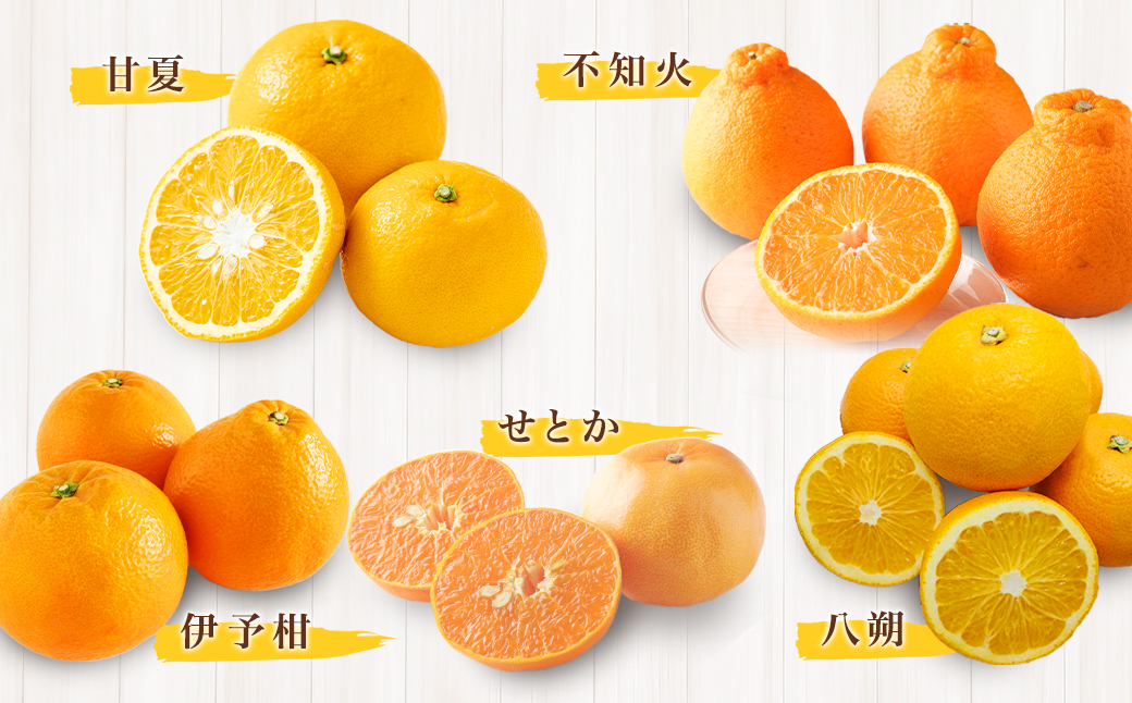 【全3回定期便】春冬限定 柑橘 お楽しみ定期便 みかん ポンカン 不知火等 ／ 早生みかん 中生みかん 甘夏 八朔 伊予柑 果物 フルーツ 長崎 九州 定期便 【2026年11月上旬～2027年3月下