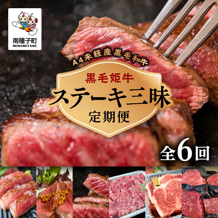 【ふるさと納税】 《 定期便 全6回 》 ステーキ 三昧 牛 牛肉 黒毛和牛 定期 サーロイン フィレ モモ 父の日 敬老の日 食品 グルメ お取り寄せ おすそわけ 人気 おすすめ ギフト 返礼品 南種子町 鹿児島 かごしま 【Kitchen 姫ファーム】