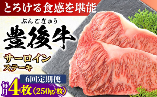 【全6回定期便】おおいた豊後牛 サーロインステーキ 1kg (250g×4枚) 日田市 / 株式会社MEAT PLUS　肉 牛肉 和牛 [AREI060]