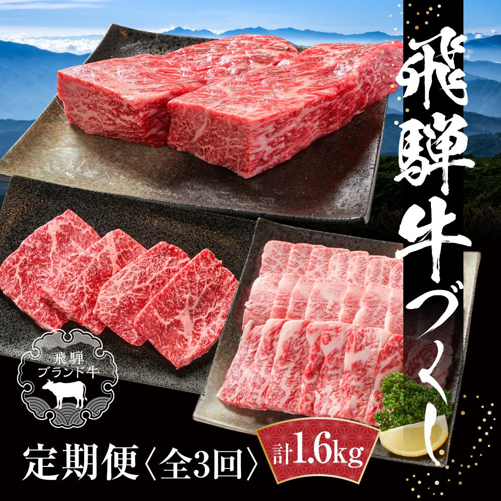 【ふるさと納税】【定期便】飛騨牛（全3回）（ステーキ /焼肉 / ブロック[塊] ) 計1.6kg 全3回 | 焼肉 ステーキ カルビ 牛肉 定期 【飛騨高山ミート MZ101】