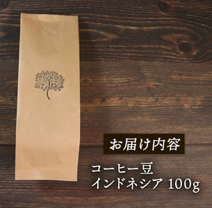 【3ヶ月/定期便】 自家焙煎 コーヒー 豆 100g インドネシア 深煎り