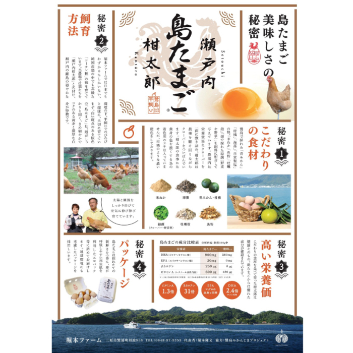 【お試し夏季】瀬戸内柑太郎『島たまご』平飼い有精卵 36個(34個＋割れ補償2個)  平飼い 純国産鶏 コーチン種 卵 たまご 佐木島 三原 広島 夏季 017071