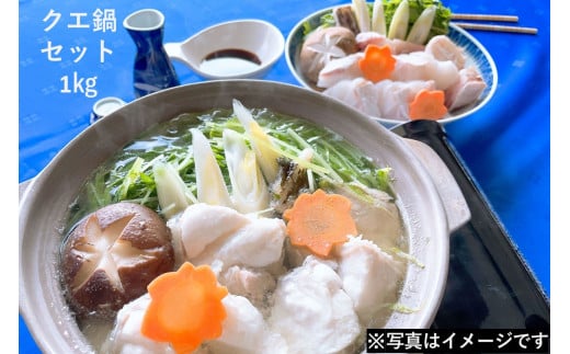 幻の天然物 クエ鍋セット 1kg ＜11月からお届け＞ クエ くえ 魚介類 魚貝類 鍋セット ご当地グルメ 海鮮 ポン酢 【087_0242】
