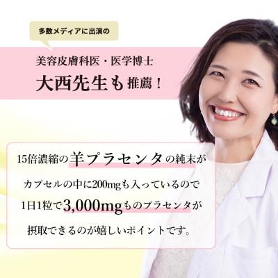 ふるさと納税 瑞浪市 プラセンタミー |  | 02