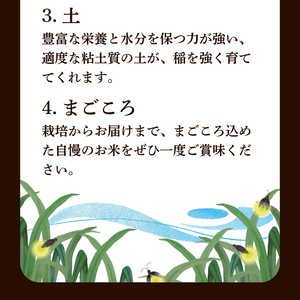 【新米】きぬむすめ 10kg 精米 お米 HC