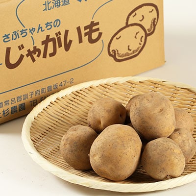 有機栽培じゃがいも「とうや」 9kg〜9.5kg【配送不可地域:離島・沖縄県】【1321862】