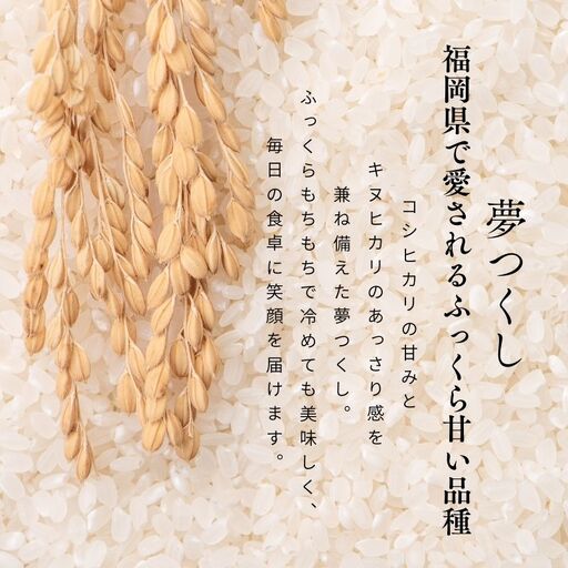 【令和7年産】福岡県飯塚市産 夢つくし 20kg(精米)【E-107】