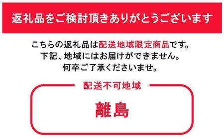 ぶどう 2024年 先行予約 農家こだわりの シャイン マスカット & ニュー ピオーネ 2房 合計約1.2kg 贈答クラス ブドウ 葡萄  岡山市産 国産 フルーツ 果物 ギフト 【 Nini fa