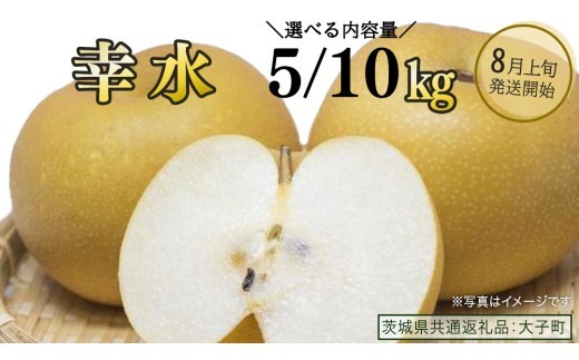 
                  【 選べる 内容量 】 幸水 約5kg / 約10kg【2026年8月上旬発送開始】(茨城県共通返礼品：大子町) 梨 なし 果物 くだもの フルーツ
                