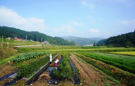 301Z_国東半島の農家民泊で田舎暮らし体験※食事付き宿泊券２名分