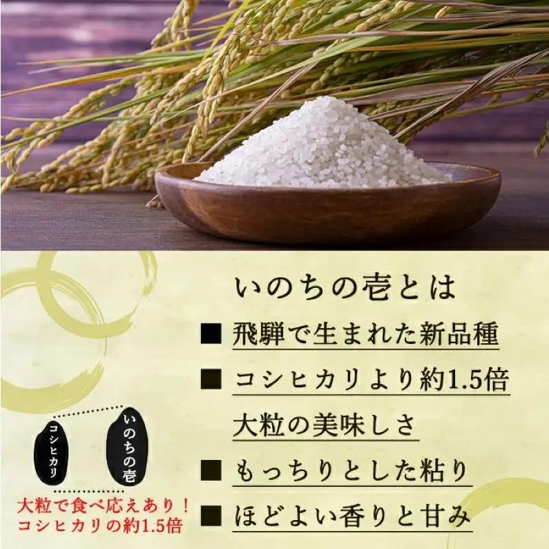 いのちの壱 定期便 12ヶ月 白米 5kg 令和8年産 いのちの壱