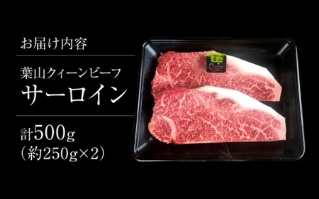 葉山クィーンビーフ サーロイン 250gx2 ／ 牛肉 サーロイン 黒毛 ステーキ【株式会社石井ファーム葉山マルシェ】[ASCD009]